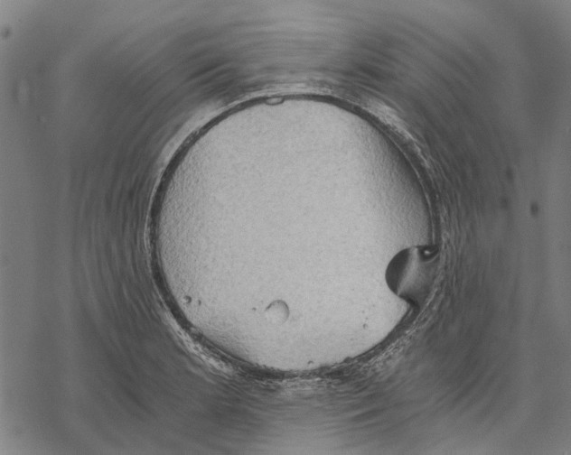 X0000068851181200605261658