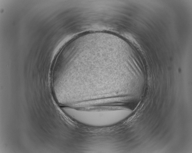 X0000068851183200605261658