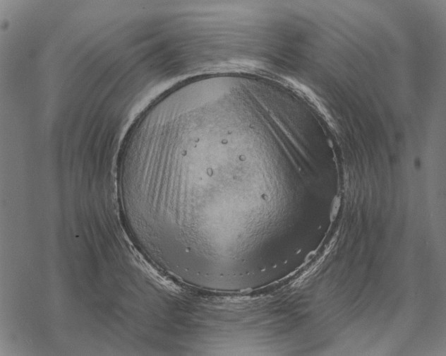 X0000068851184200605261658