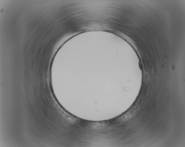 X0000068851195200605261658