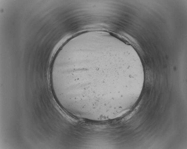 X0000068851196200605261657