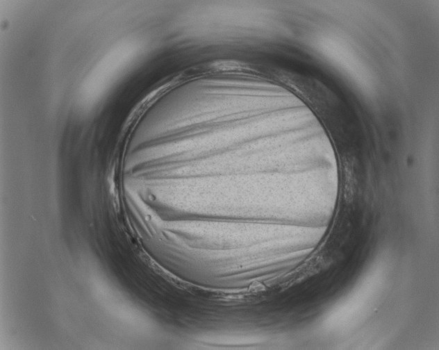 X0000068851198200605261657