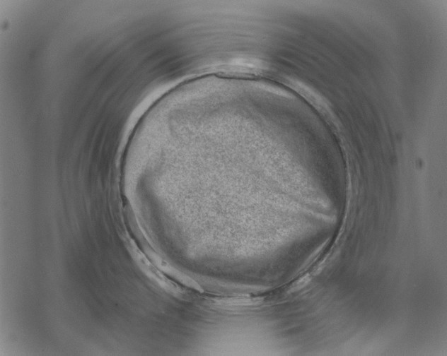 X0000068851200200605261657