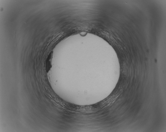 X0000068851201200605261657