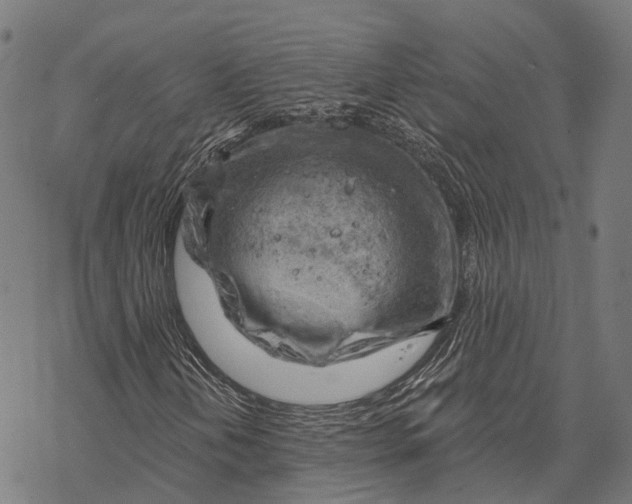 X0000068851202200605261657