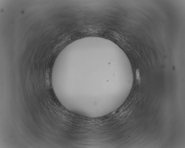 X0000068851203200605261657