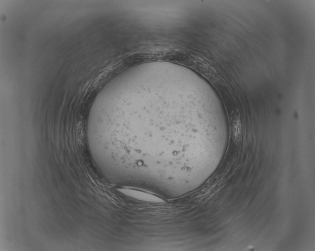 X0000068851204200605261657