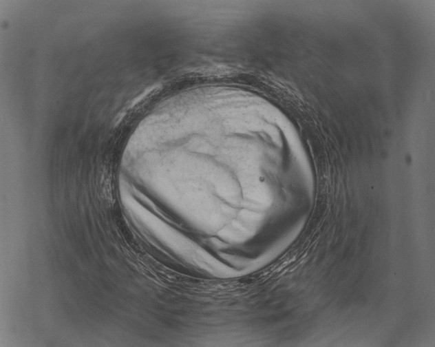 X0000068851205200605261657