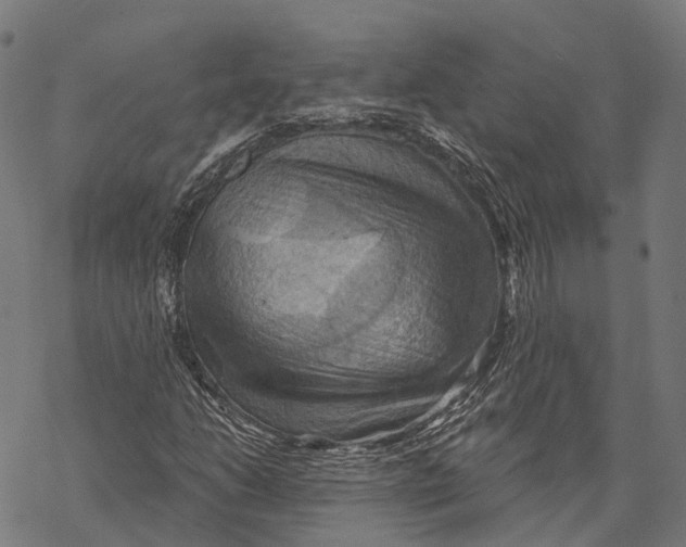 X0000068851206200605261657