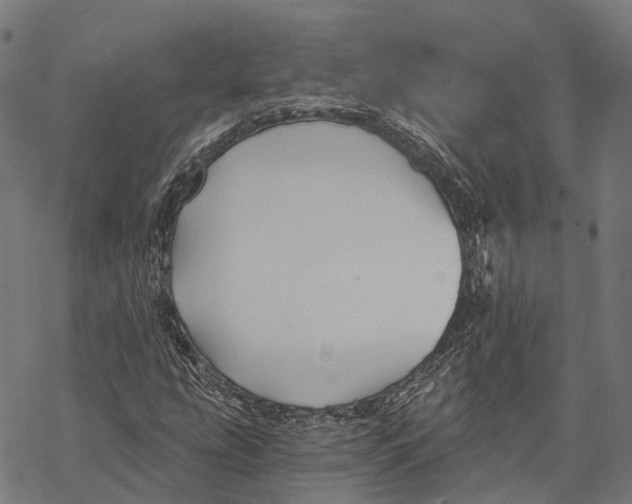 X0000068851207200605261657