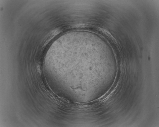 X0000068851209200605261657