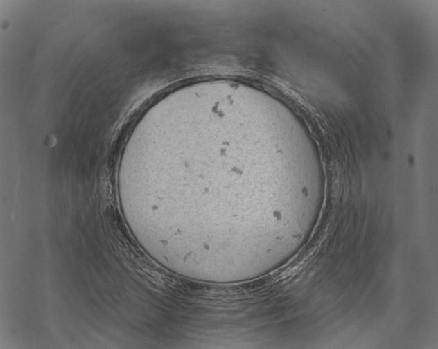 X0000068851215200605261657