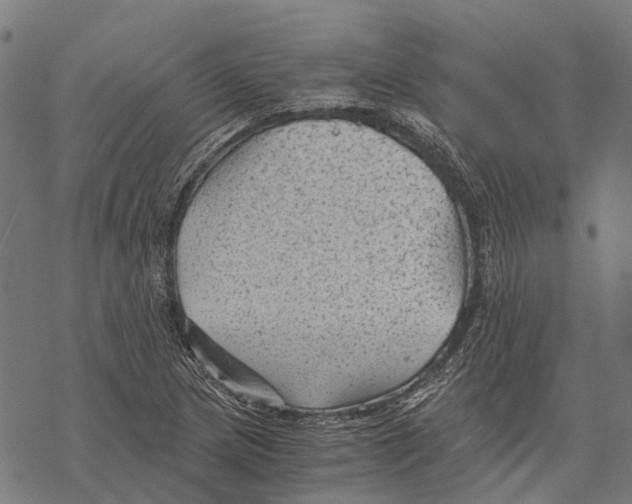 X0000068851217200605261657