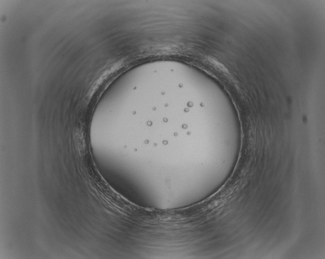 X0000068851218200605261657