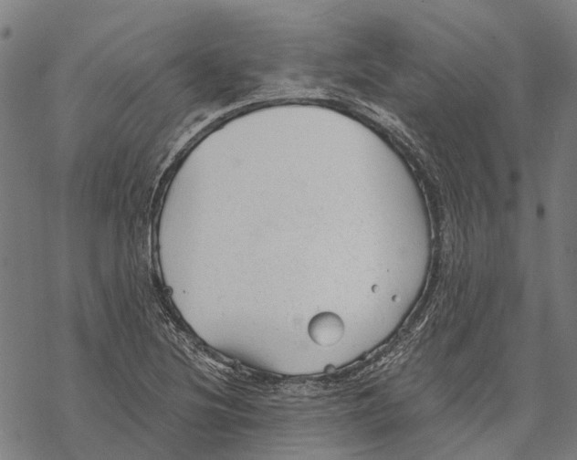 X0000068851220200605261657