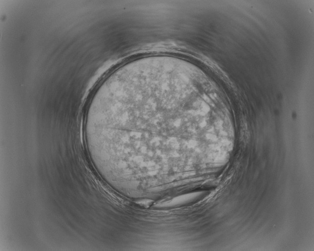 X0000068851224200605261657