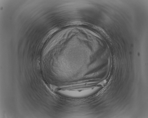 X0000068851225200605261657