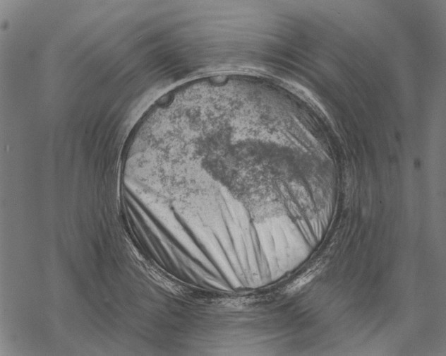 X0000068851228200605261657