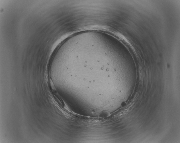 X0000068851230200605261657