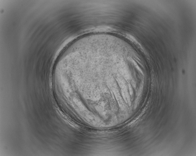 X0000068851232200605261657