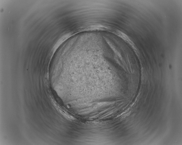 X0000068851234200605261657