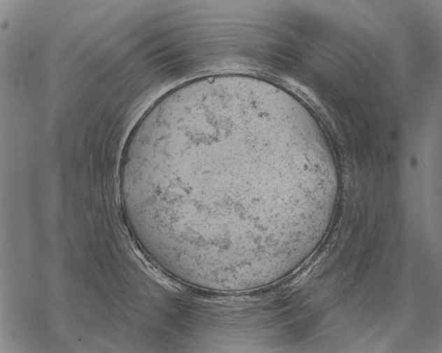 X0000068851236200605261657