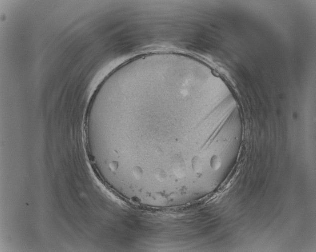 X0000068851239200605261657