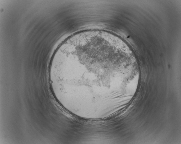 X0000068851240200605261657