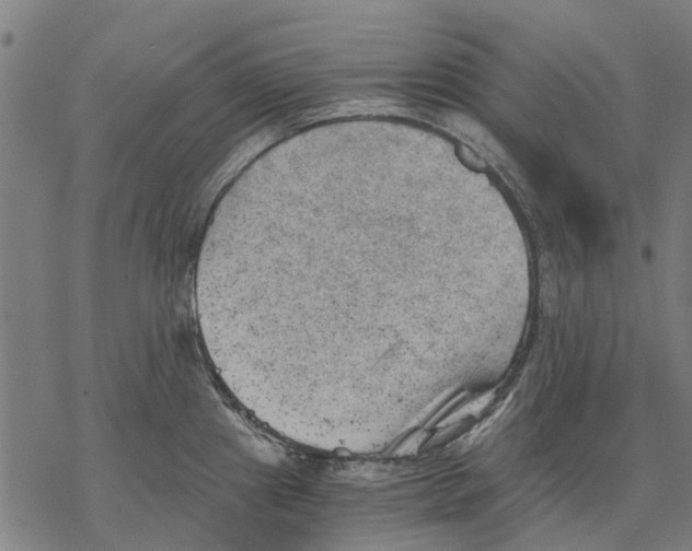 X0000068851241200605261657