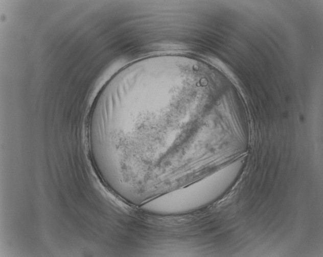 X0000068851243200605261657