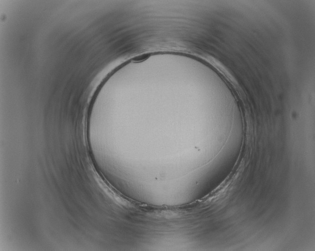 X0000068851246200605261657