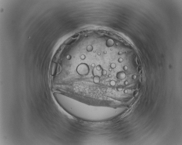 X0000068851247200605261657