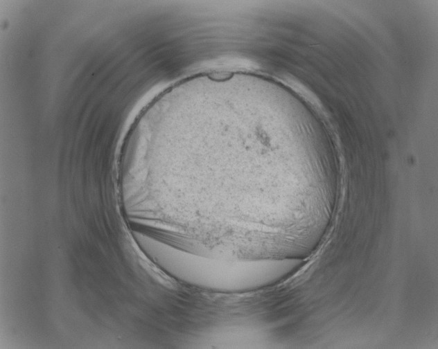 X0000068851248200605261657