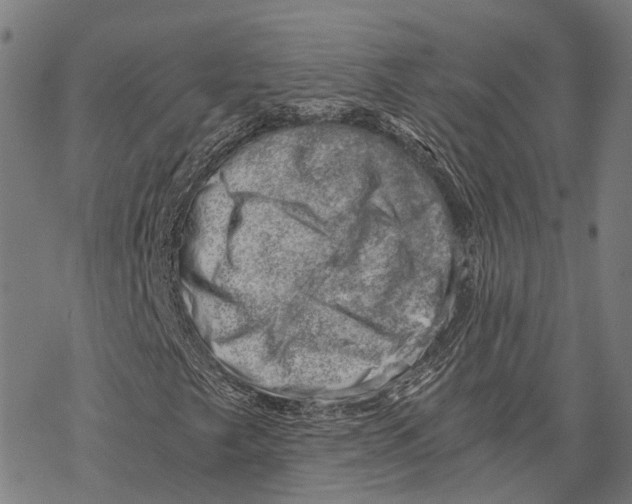 X0000068851249200605261657