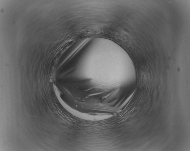 X0000068851250200605261657