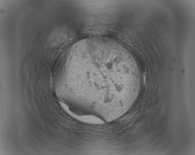 X0000068851251200605261657