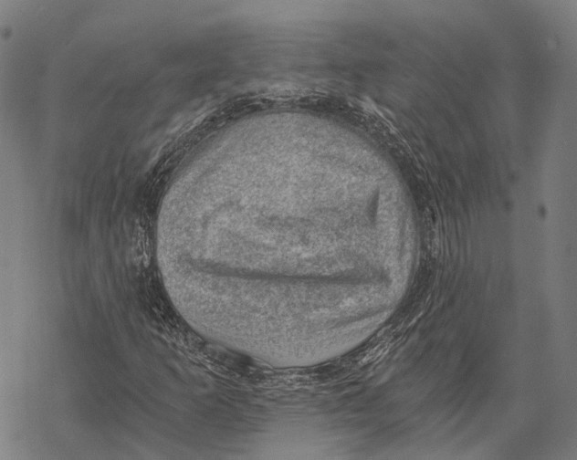 X0000068851253200605261657