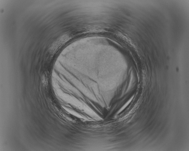 X0000068851257200605261657