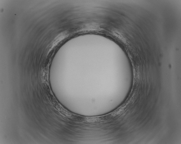 X0000068851258200605261656