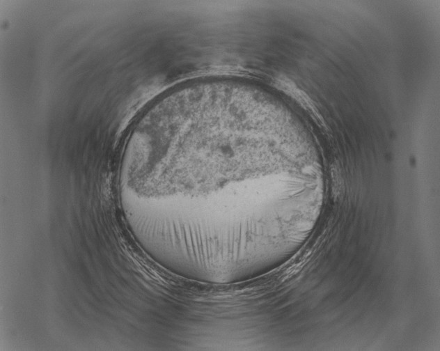 X0000068851260200605261656