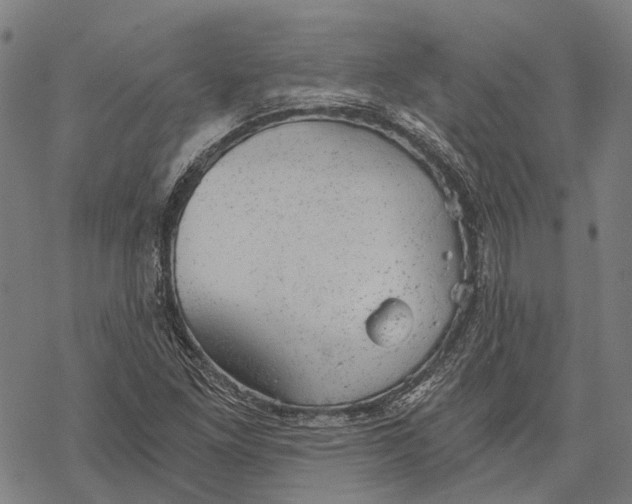 X0000068851261200605261656