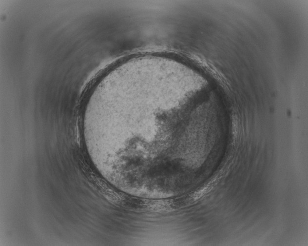 X0000068851262200605261656