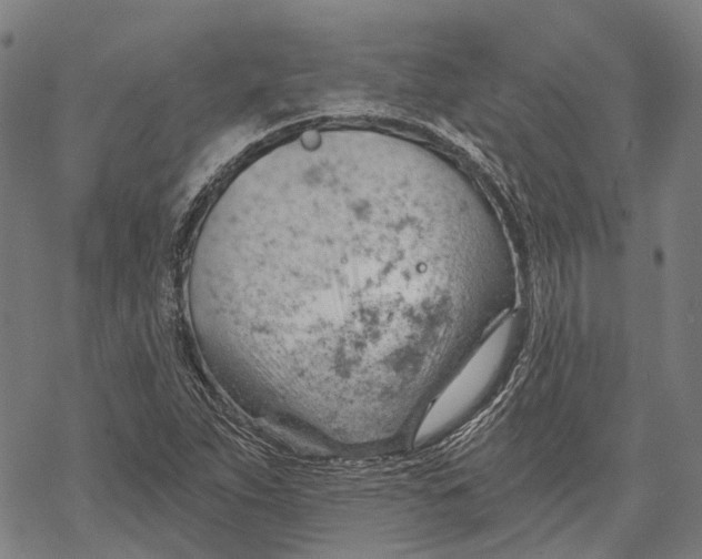 X0000068851263200605261656