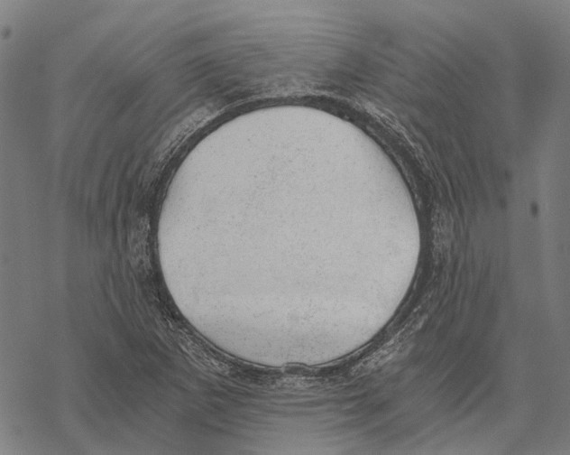 X0000068851265200605261656