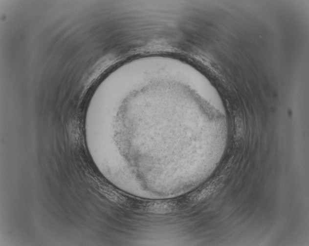 X0000068851266200605261656