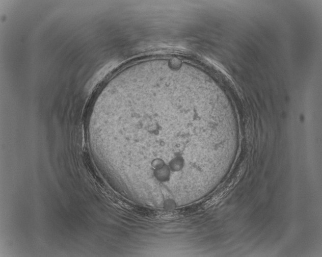 X0000068851267200605261656