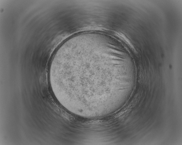 X0000068851268200605261656