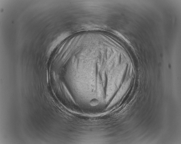 X0000068851269200605261656