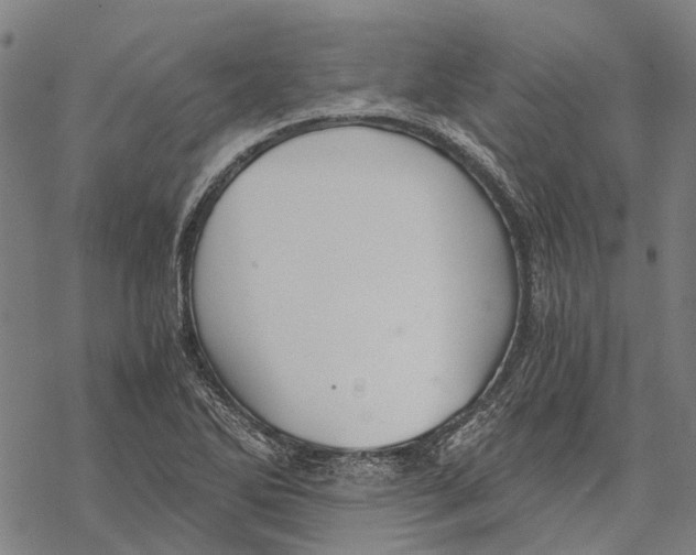 X0000068851270200605261656