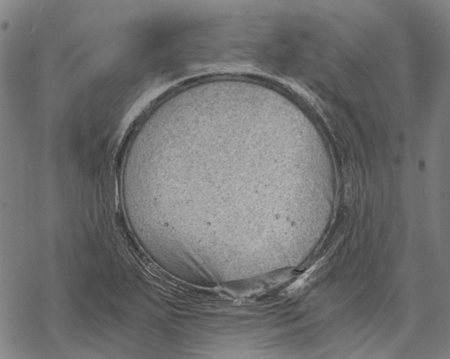 X0000068851271200605261656